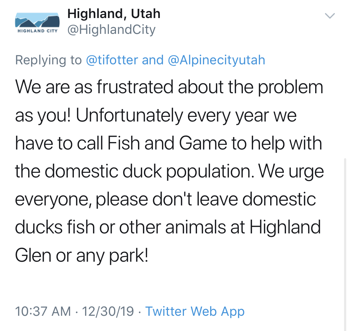 highland glen culls ducks